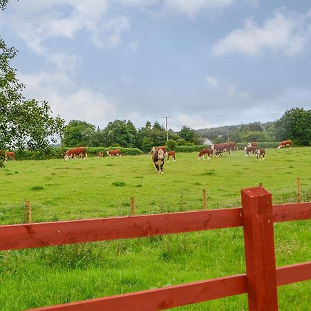 Betws  Sgubor Llwynduヴィラ エクステリア 写真